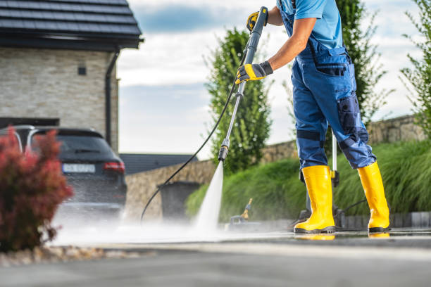 Animal Enclosure Cleaning in Rocky Point, NC